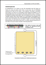 4 Elektophorese.pdf