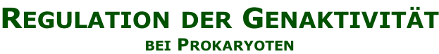 Regulation der Genaktivität bei Prokaryoten