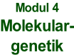 Modul 4 Molekular- genetik