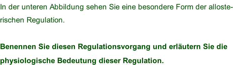 In der unteren Abbildung sehen Sie eine besondere Form der alloste- rischen Regulation.  Benennen Sie diesen Regulationsvorgang und erläutern Sie die  physiologische Bedeutung dieser Regulation.