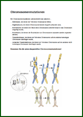 Chromosomenmutationen.pdf