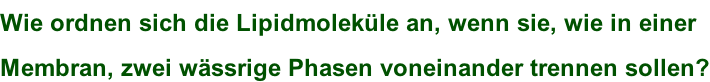 Wie ordnen sich die Lipidmoleküle an, wenn sie, wie in einer  Membran, zwei wässrige Phasen voneinander trennen sollen?