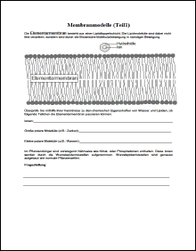 Elementarmembran.pdf