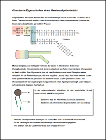 Lipide.pdf