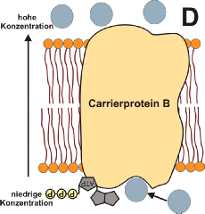 Aktiver Carrier.png