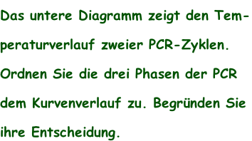 Das untere Diagramm zeigt den Tem- peraturverlauf zweier PCR-Zyklen.  Ordnen Sie die drei Phasen der PCR  dem Kurvenverlauf zu. Begründen Sie  ihre Entscheidung.