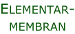 Elementar- membran