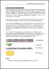 2 PCR.pdf