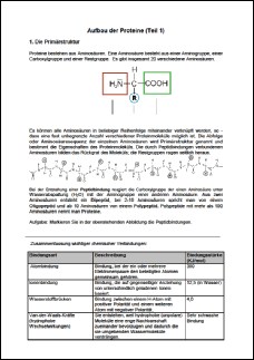 Primarstruktur.pdf