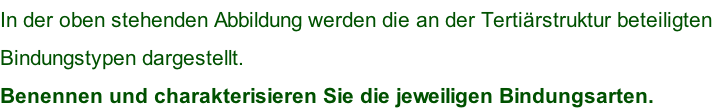 In der oben stehenden Abbildung werden die an der Tertiärstruktur beteiligten  Bindungstypen dargestellt. Benennen und charakterisieren Sie die jeweiligen Bindungsarten.