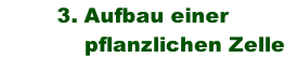 3. Aufbau einer               pflanzlichen Zelle