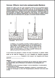 AB Osmose.pdf