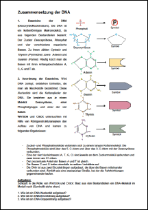Arbeitsblatt DNA-Zusammensetzung  Teil2.pdf
