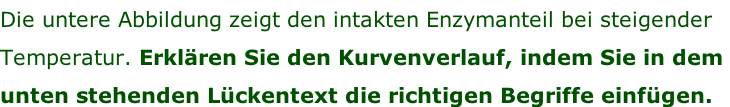 Die untere Abbildung zeigt den intakten Enzymanteil bei steigender  Temperatur. Erklären Sie den Kurvenverlauf, indem Sie in dem  unten stehenden Lückentext die richtigen Begriffe einfügen.