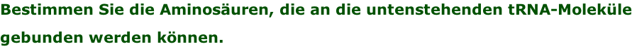 Bestimmen Sie die Aminosäuren, die an die untenstehenden tRNA-Moleküle  gebunden werden können.