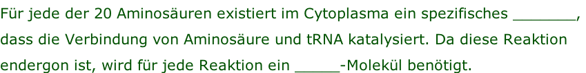 Für jede der 20 Aminosäuren existiert im Cytoplasma ein spezifisches _______,  dass die Verbindung von Aminosäure und tRNA katalysiert. Da diese Reaktion  endergon ist, wird für jede Reaktion ein _____-Molekül benötigt.