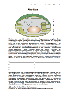 Das elektronenmikroskopische Bild II.pdf