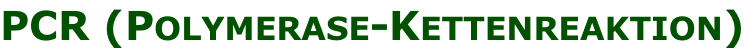 PCR (Polymerase-Kettenreaktion)