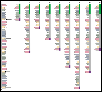 Abbruchnucleotide.ppsx