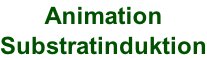 Animation  Substratinduktion