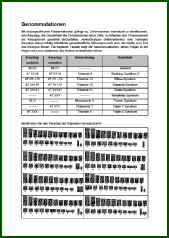 Genommutationen.pdf