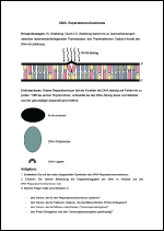 Entwicklung des Reparatursystems.pdf