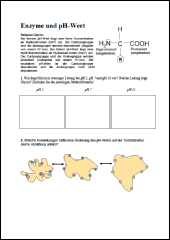 Enzyme und pH-Wert 4.pdf