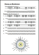Mutationen.cdr.pdf