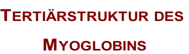 Tertiärstruktur des  Myoglobins