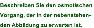 Beschreiben Sie den osmotischen  Vorgang, der in der nebenstehen- den Abbildung zu erwarten ist.