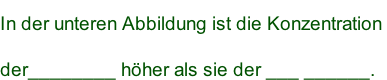 In der unteren Abbildung ist die Konzentration  der________ höher als sie der ___ ______.