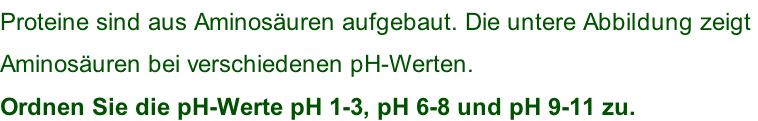 Proteine sind aus Aminosäuren aufgebaut. Die untere Abbildung zeigt  Aminosäuren bei verschiedenen pH-Werten.  Ordnen Sie die pH-Werte pH 1-3, pH 6-8 und pH 9-11 zu.