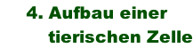 4. Aufbau einer           tierischen Zelle