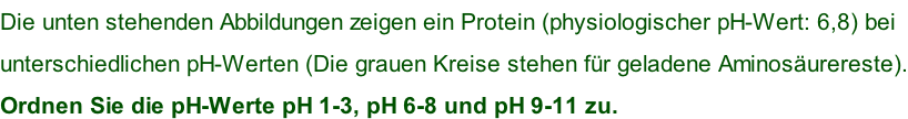 Die unten stehenden Abbildungen zeigen ein Protein (physiologischer pH-Wert: 6,8) bei  unterschiedlichen pH-Werten (Die grauen Kreise stehen für geladene Aminosäurereste). Ordnen Sie die pH-Werte pH 1-3, pH 6-8 und pH 9-11 zu.