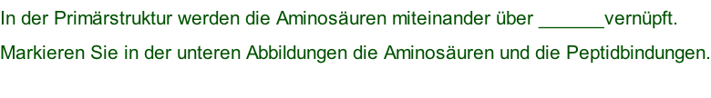 In der Primärstruktur werden die Aminosäuren miteinander über ______vernüpft.  Markieren Sie in der unteren Abbildungen die Aminosäuren und die Peptidbindungen.