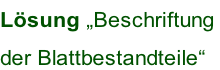 Lösung „Beschriftung  der Blattbestandteile“