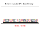 PCR.ppsx