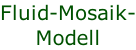 Fluid-Mosaik- Modell