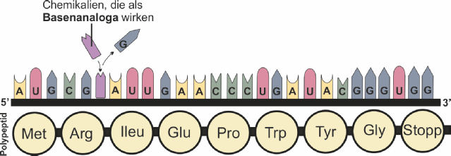 Losung Mutagen 5.jpg