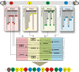 DNA-Sequenzanalyse