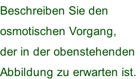 Beschreiben Sie den  osmotischen Vorgang,  der in der obenstehenden  Abbildung zu erwarten ist.