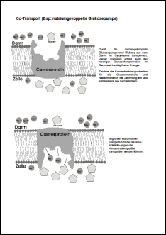 Cotransport.pdf