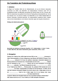 6 Translation neu.pdf