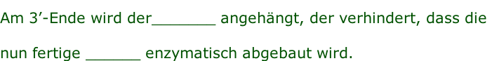 Am 3’-Ende wird der_______ angehängt, der verhindert, dass die  nun fertige ______ enzymatisch abgebaut wird.