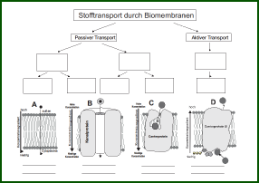 Stofftrans.pdf