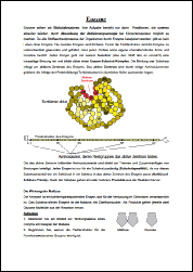 AB Enzyme.pdf