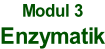 Modul 3 Enzymatik