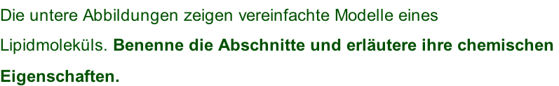 Die untere Abbildungen zeigen vereinfachte Modelle eines  Lipidmoleküls. Benenne die Abschnitte und erläutere ihre chemischen  Eigenschaften.